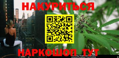 ПСИЛОЦИБИНОВЫЕ ГРИБЫ Канаш