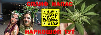 ПСИЛОЦИБИНОВЫЕ ГРИБЫ Канаш
